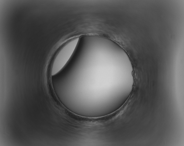 X0000089850246200706281026