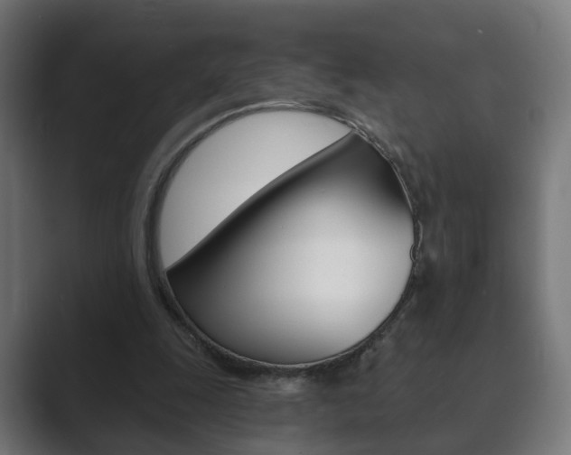 X0000089850247200706281026