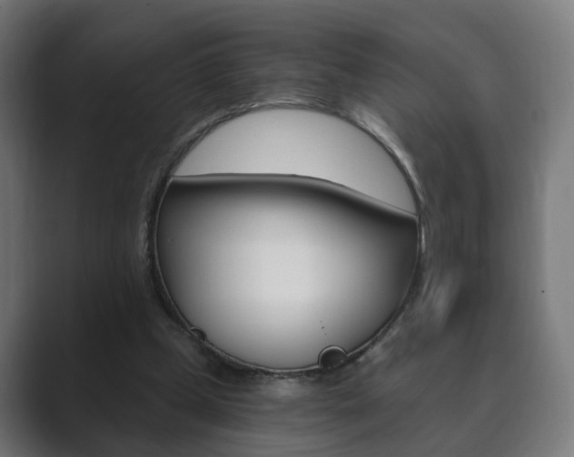 X0000089850249200706281026