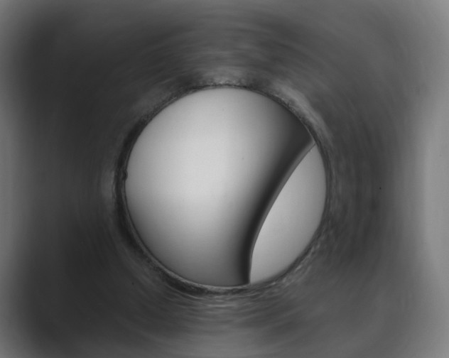 X0000089850250200706281026