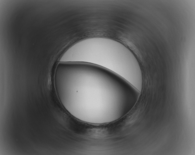 X0000089850251200706281026
