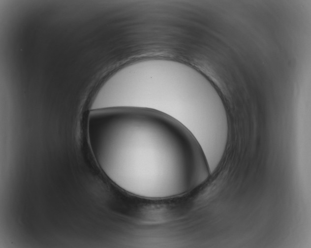 X0000089850252200706281026