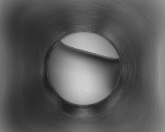 X0000089850255200706281026
