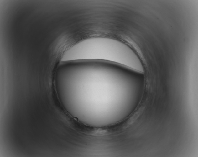 X0000089850257200706281026