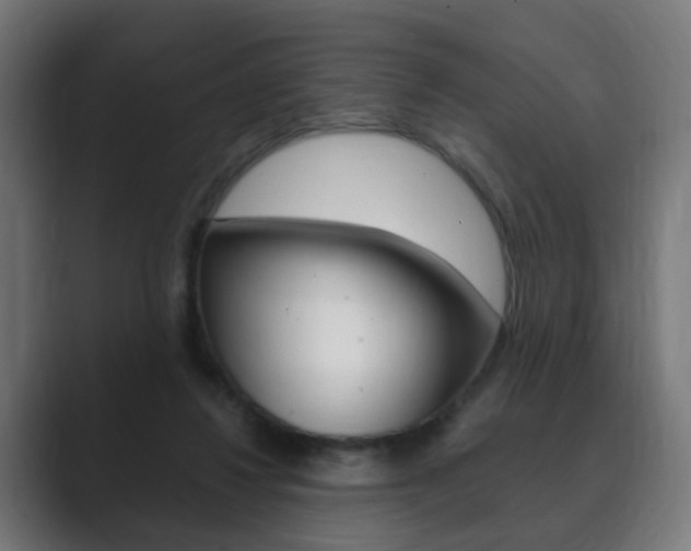 X0000089850260200706281026