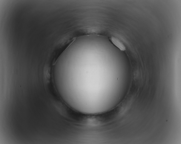 X0000089850264200706281026