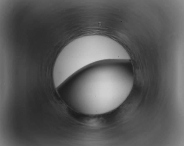 X0000089850267200706281026