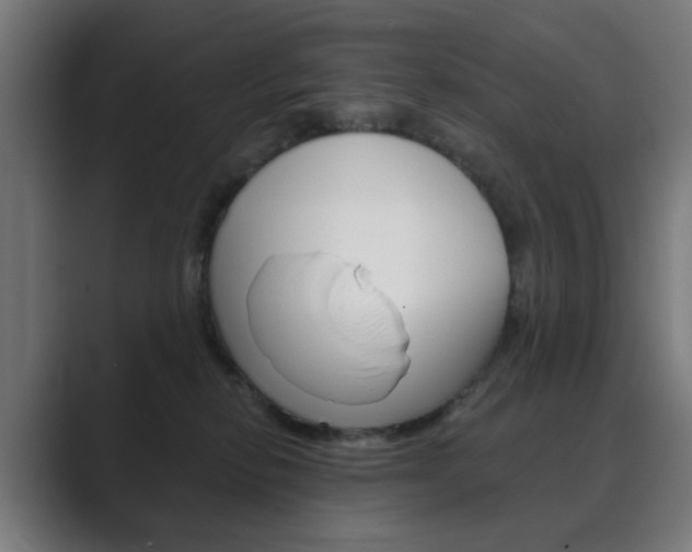 X0000089850278200706281027