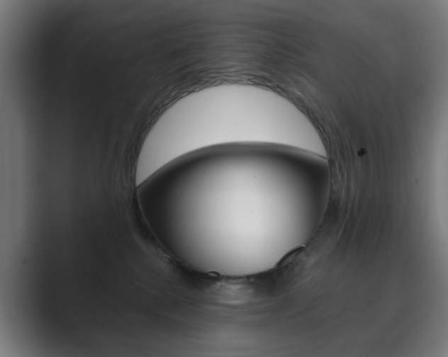 X0000089850280200706281027