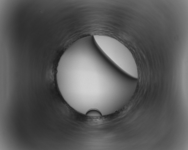 X0000089850282200706281027