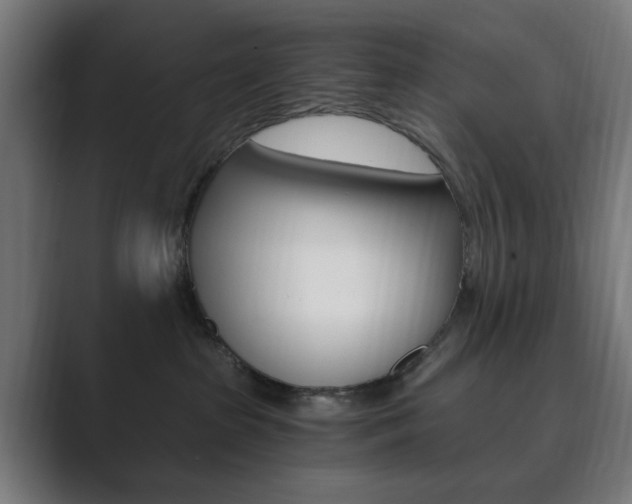 X0000089850285200706281027