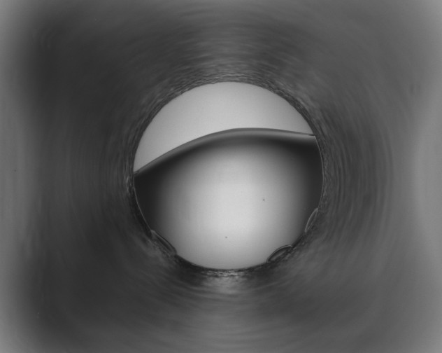 X0000089850288200706281027