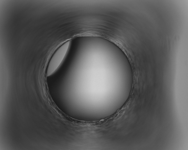 X0000089850289200706281026