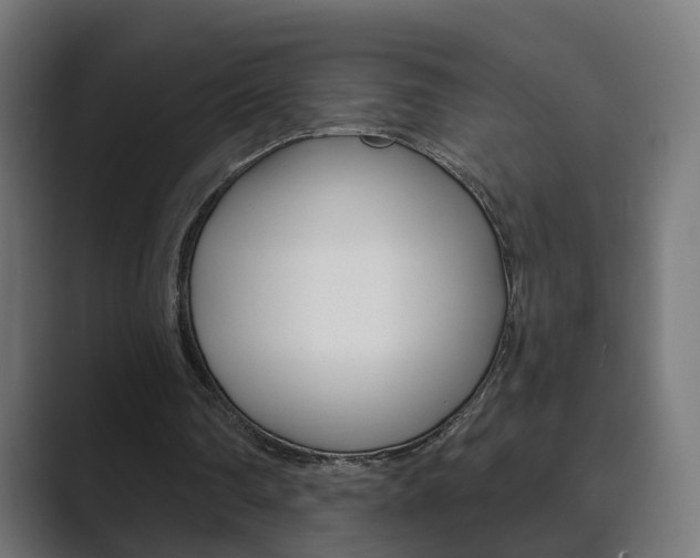 X0000089850290200706281026