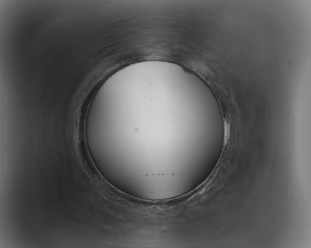 X0000089850291200706281026