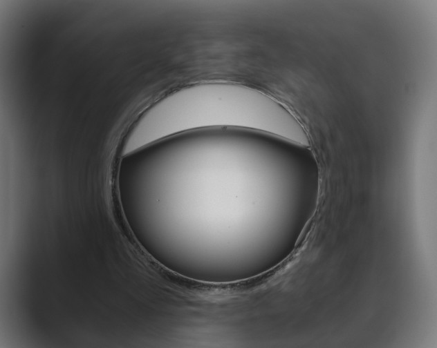 X0000089850293200706281026