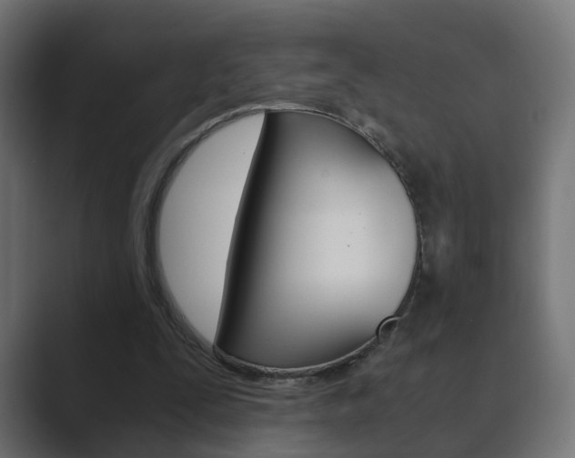 X0000089850295200706281026