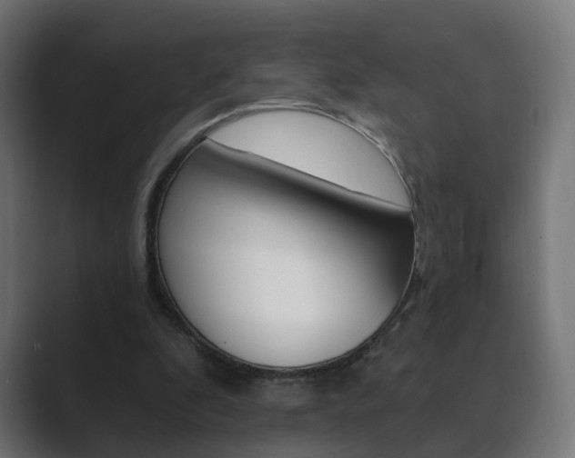 X0000089850296200706281026