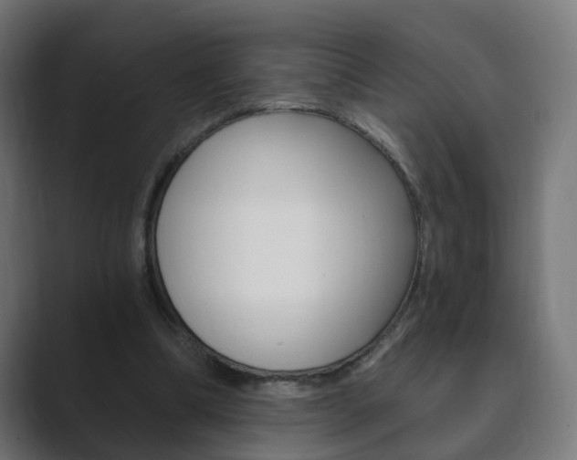 X0000089850298200706281026