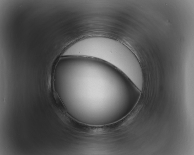 X0000089850301200706281026