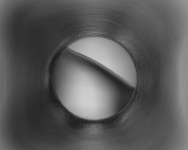 X0000089850304200706281026