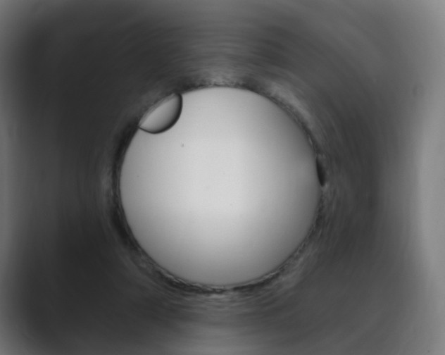 X0000089850306200706281026