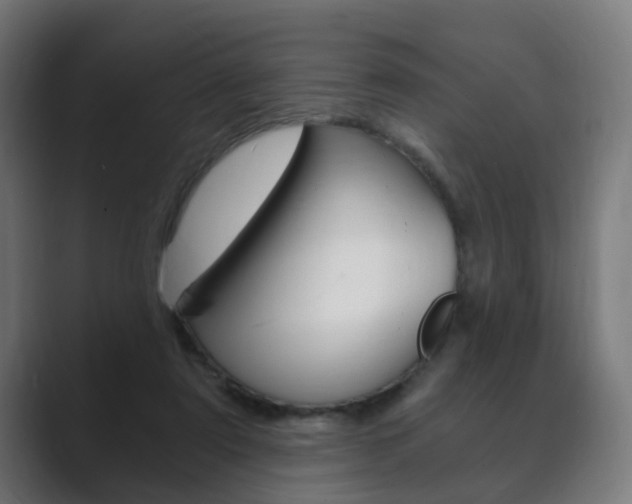X0000089850307200706281026