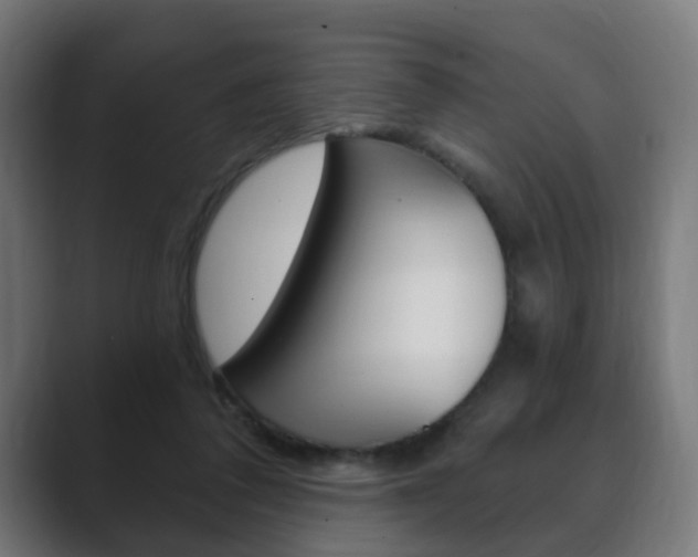 X0000089850308200706281026