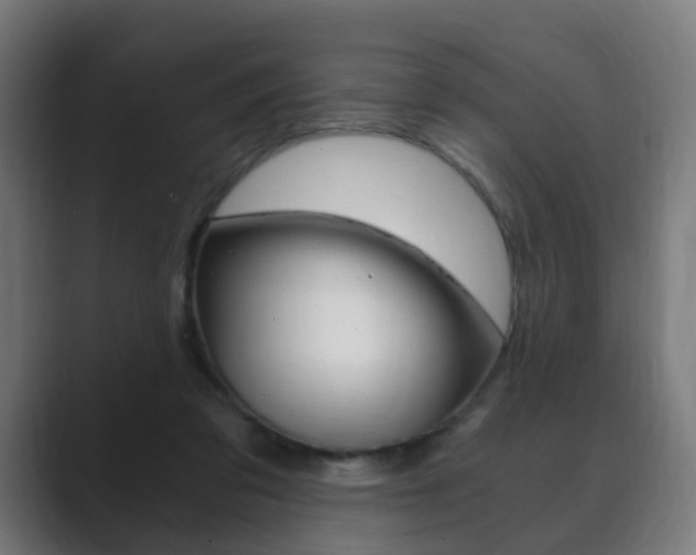 X0000089850309200706281026