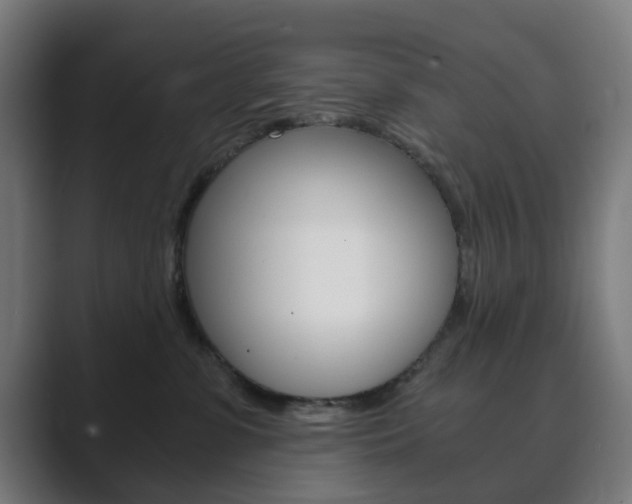 X0000089850331200706281026