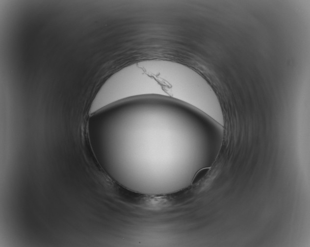 X0000089850333200706281025