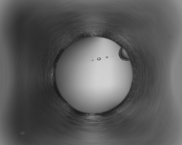 X0000089850336200706281025