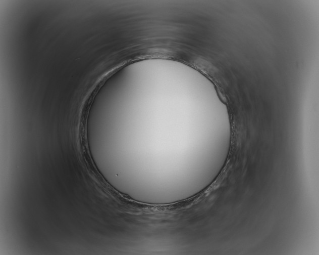 X0000089850338200706281025