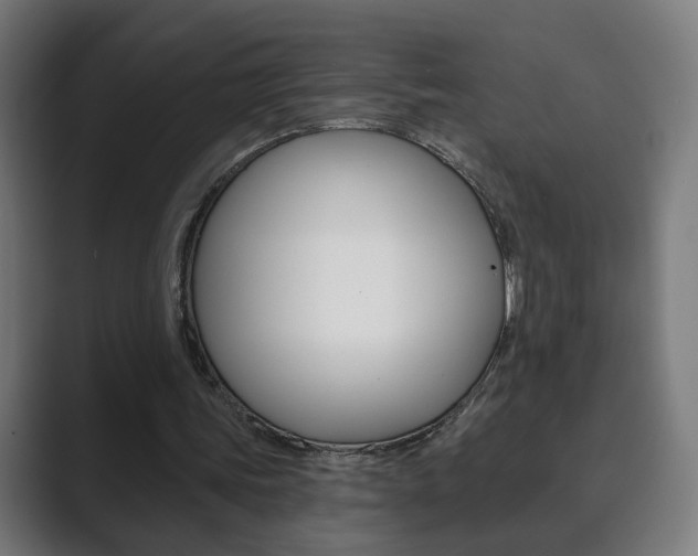 X0000089850339200706281025