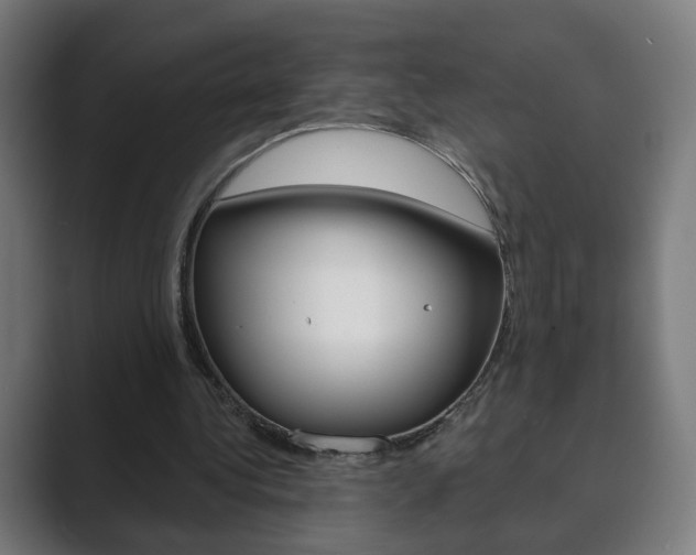 X0000089850340200706281025