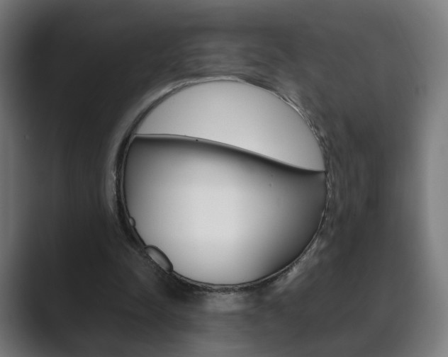 X0000089850342200706281025