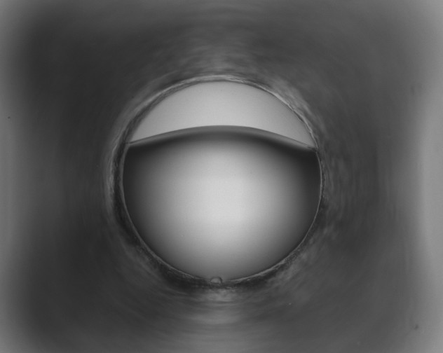 X0000089850344200706281025
