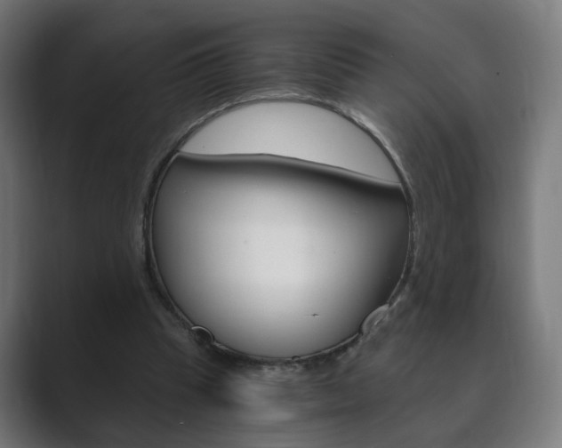 X0000089850345200706281025