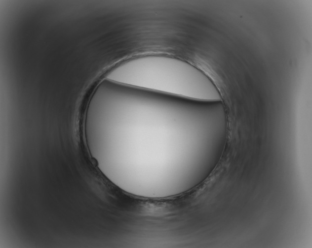 X0000089850346200706281025