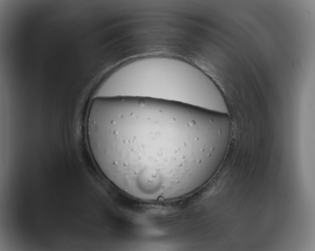 X0000089850347200706281025
