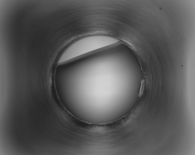 X0000089850350200706281025