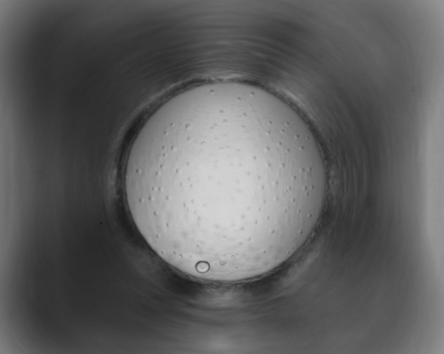 X0000089850351200706281025