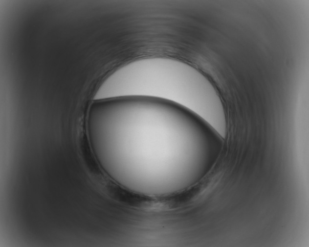 X0000089850356200706281025