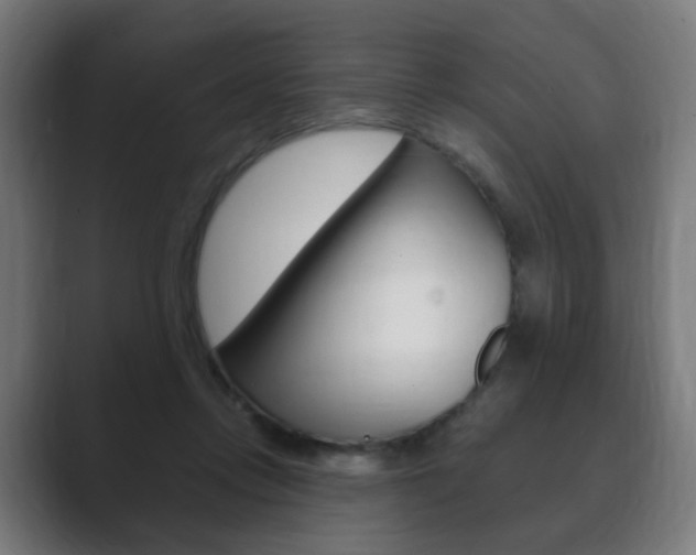 X0000089850358200706281025