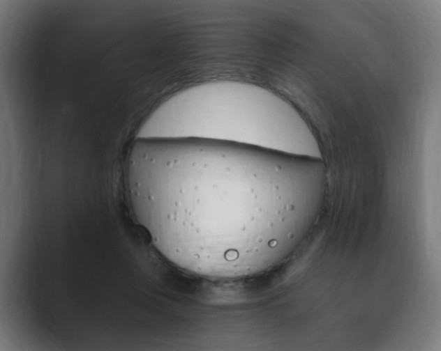 X0000089850359200706281025