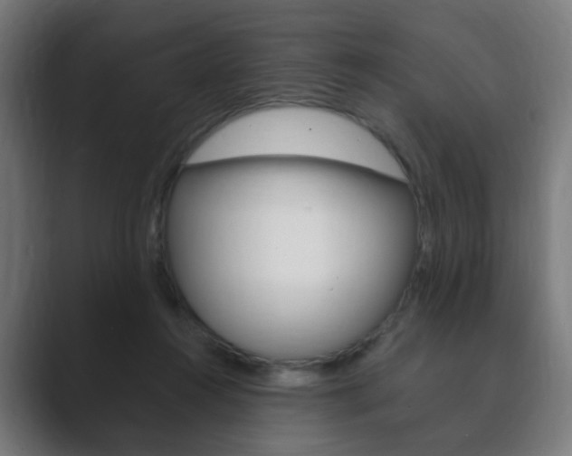 X0000089850360200706281025