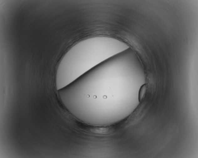 X0000089850361200706281025