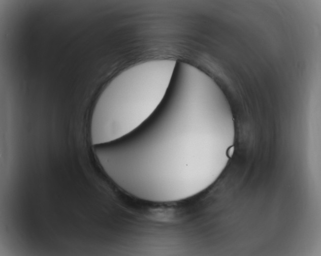 X0000089850362200706281025
