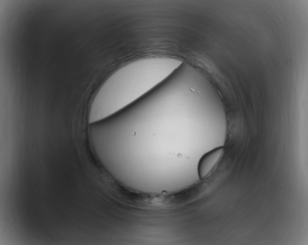 X0000089850365200706281025
