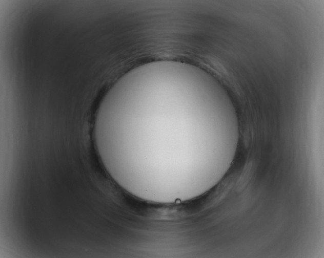 X0000089850366200706281025